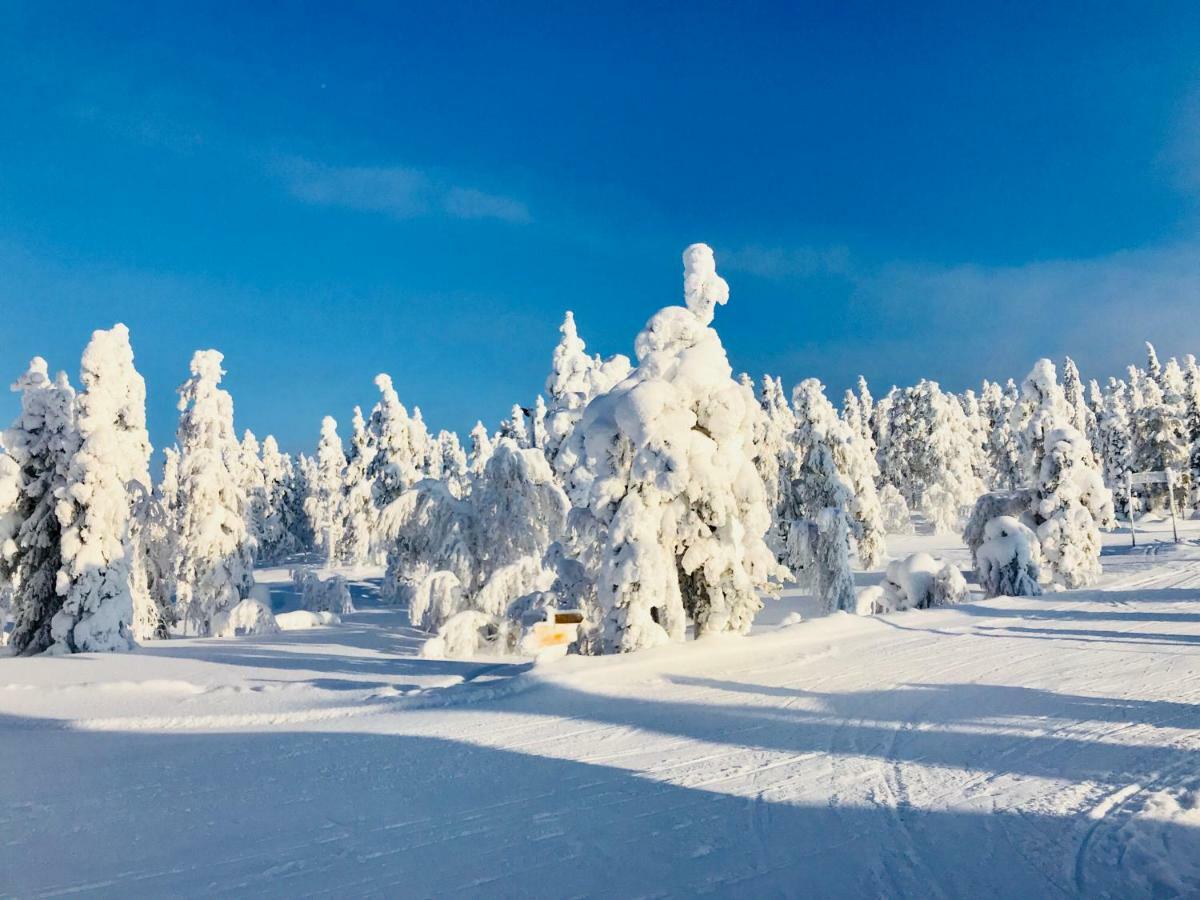 Levi Chalets Kolmio 65 M2 Ylin Kerros エクステリア 写真